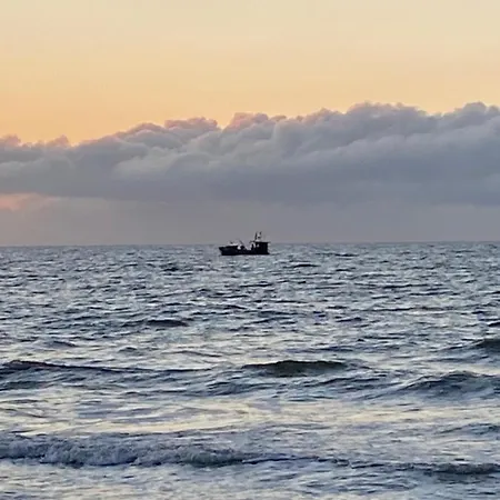 Portknauber روفي